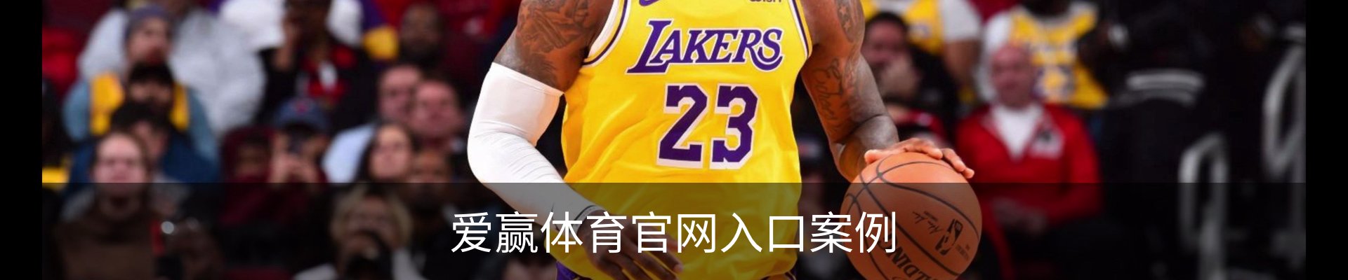 爱赢体育官网入口案例